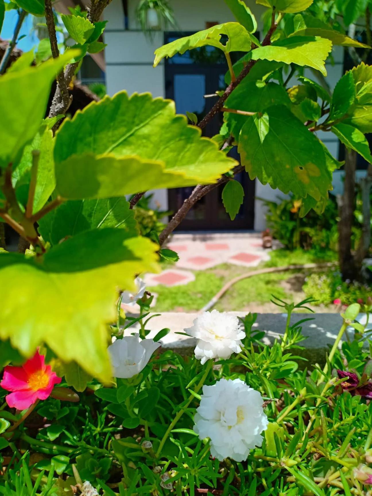Hoi An Garden Sea Homestay Exterior foto